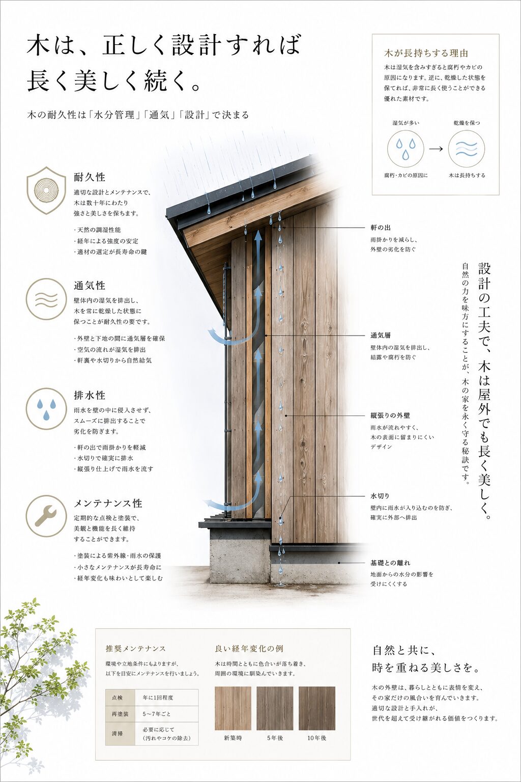 木材が屋外で長持ちする仕組みを解説した図解